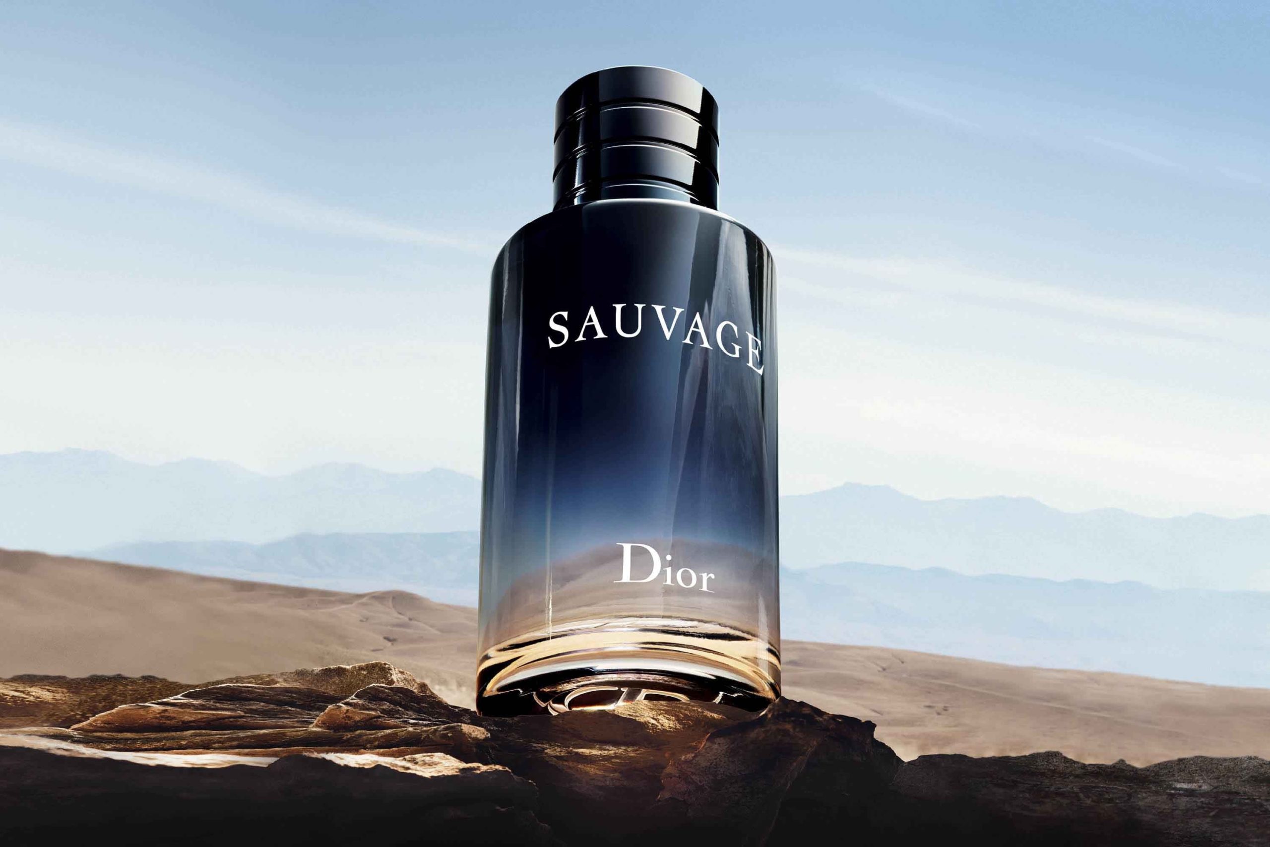 sauvage 100ml eau de toilette